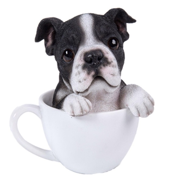 Home Basics Other - BOSTON TERRIER TEA CUP PUP